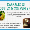 All About Solutions - Image 4